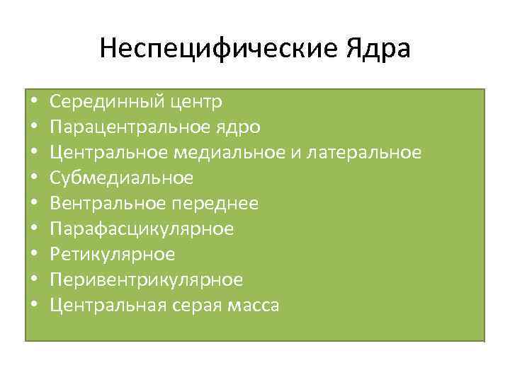 Неспецифические Ядра • • • Серединный центр Парацентральное ядро Центральное медиальное и латеральное Субмедиальное