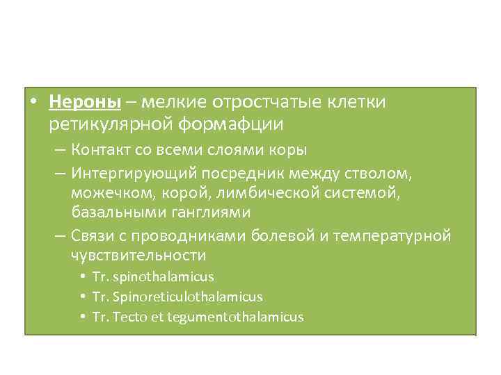  • Нероны – мелкие отростчатые клетки ретикулярной формафции – Контакт со всеми слоями