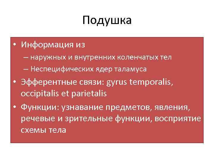 Подушка • Информация из – наружных и внутренних коленчатых тел – Неспецифических ядер таламуса