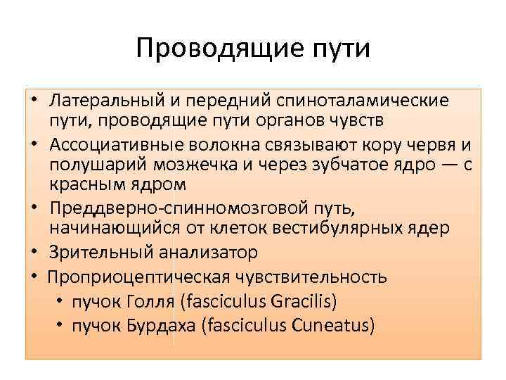 Проводящие пути • Латеральный и передний спиноталамические пути, проводящие пути органов чувств • Ассоциативные