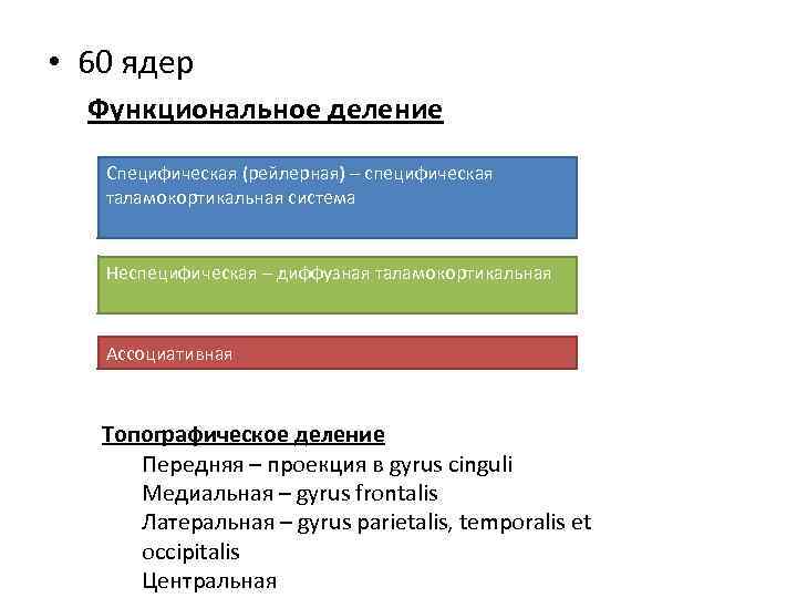  • 60 ядер Функциональное деление Специфическая (рейлерная) – специфическая таламокортикальная система Неспецифическая –