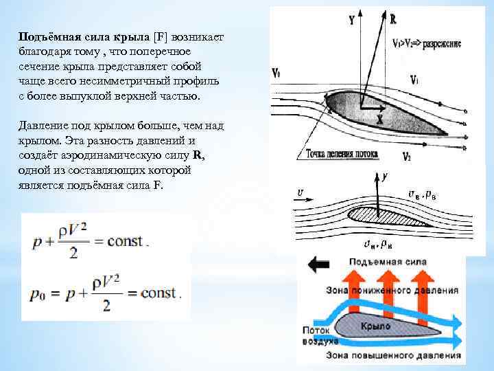 Подъёмная сила крыла [F] возникает благодаря тому , что поперечное сечение крыла представляет собой