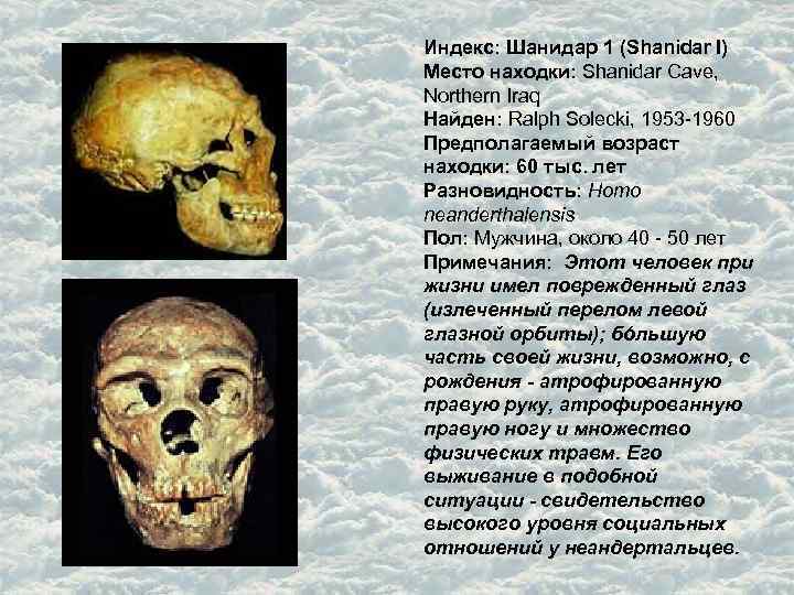 Индекс: Шанидар 1 (Shanidar I) Место находки: Shanidar Cave, Northern Iraq Найден: Ralph Solecki,