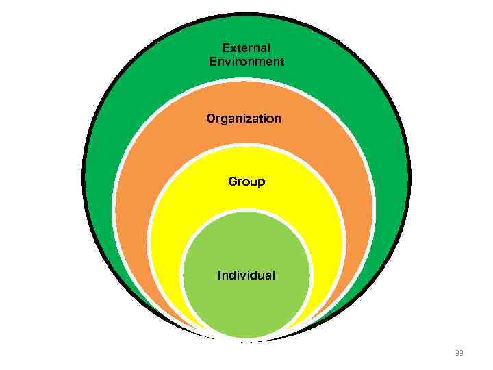 External Environment Organization Group Individual 33 