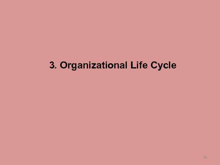 3. Organizational Life Cycle 38 