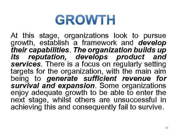At this stage, organizations look to pursue growth, establish a framework and develop their