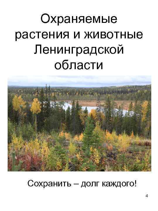 Охраняемые растения и животные Ленинградской области Сохранить – долг каждого! 4 