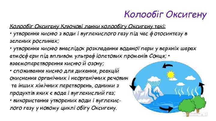 Колообіг Оксигену Ключові ланки колообігу Оксигену такі: • утворення кисню з води і вуглекислого