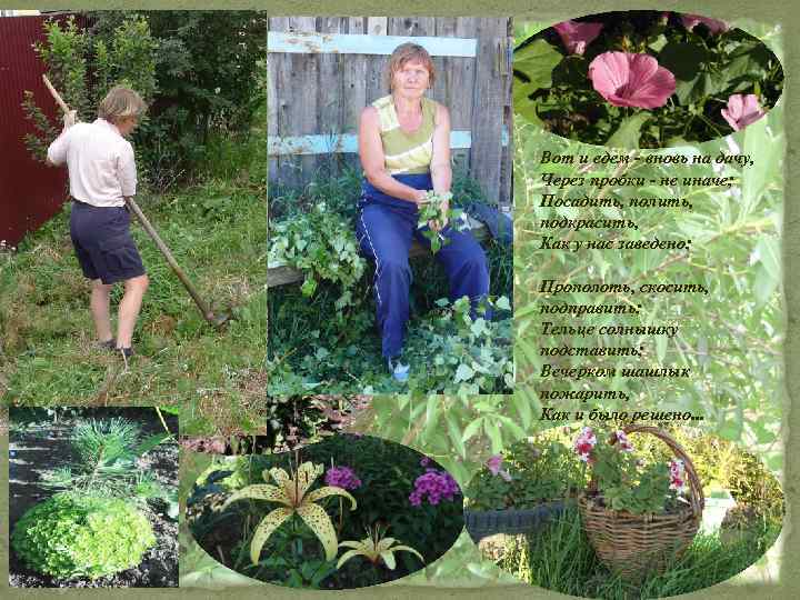 Вот и едем - вновь на дачу, Через пробки - не иначе; Посадить, полить,