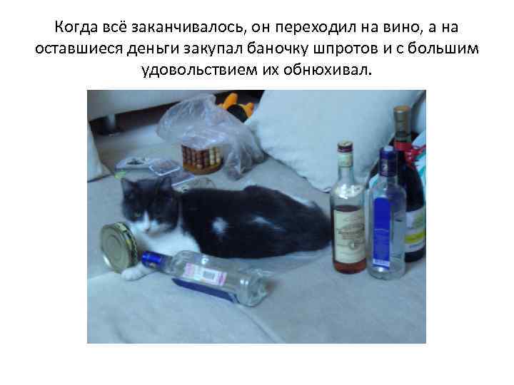 Когда всё заканчивалось, он переходил на вино, а на оставшиеся деньги закупал баночку шпротов