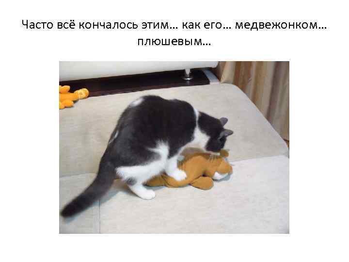 Часто всё кончалось этим… как его… медвежонком… плюшевым… 