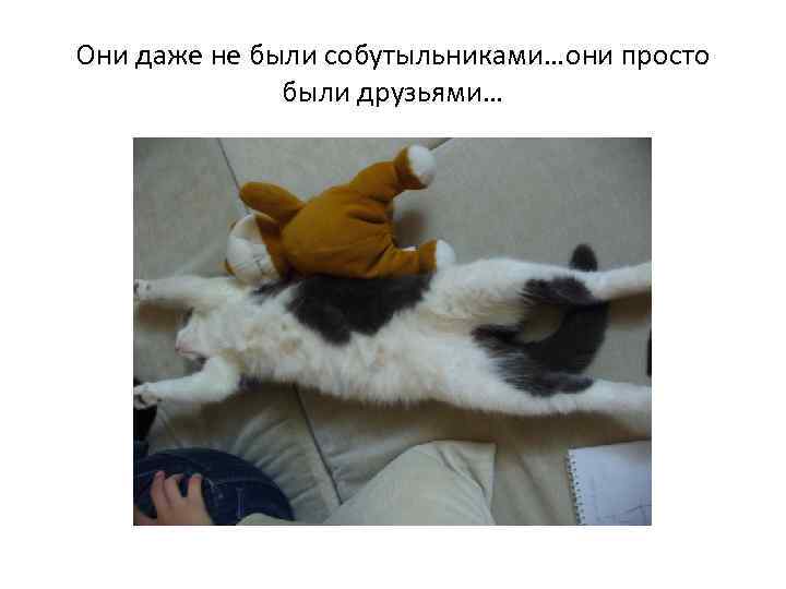 Они даже не были собутыльниками…они просто были друзьями… 