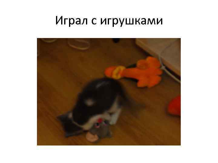 Играл с игрушками 