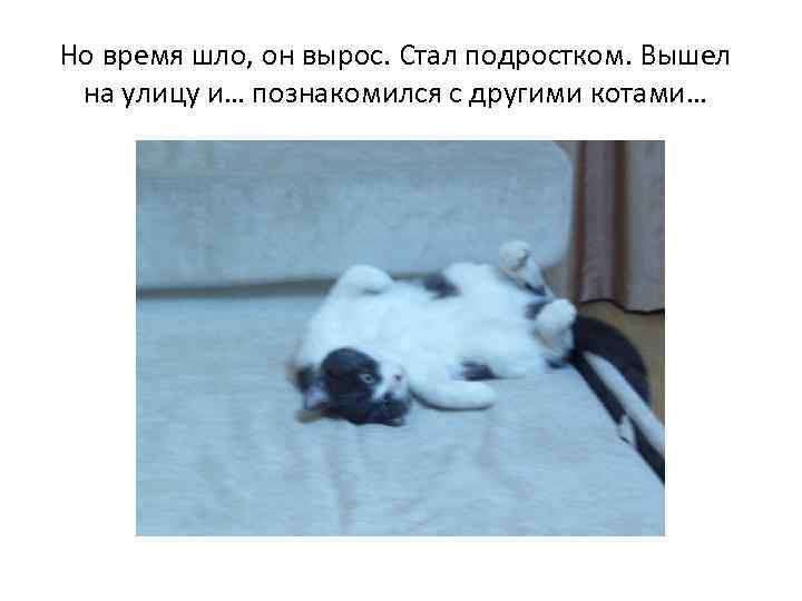 Но время шло, он вырос. Стал подростком. Вышел на улицу и… познакомился с другими