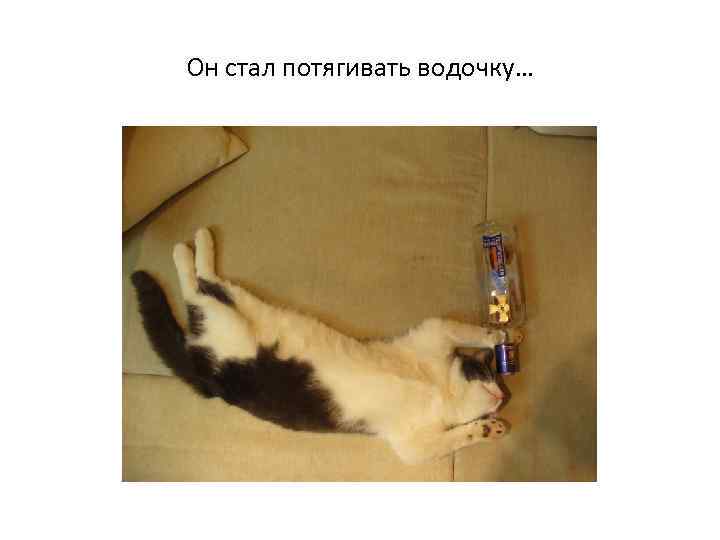 Он стал потягивать водочку… 