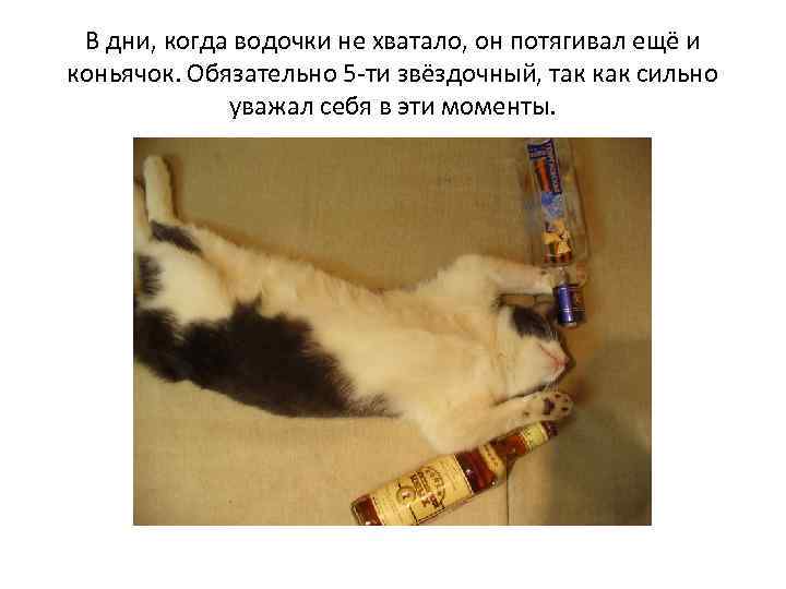В дни, когда водочки не хватало, он потягивал ещё и коньячок. Обязательно 5 -ти