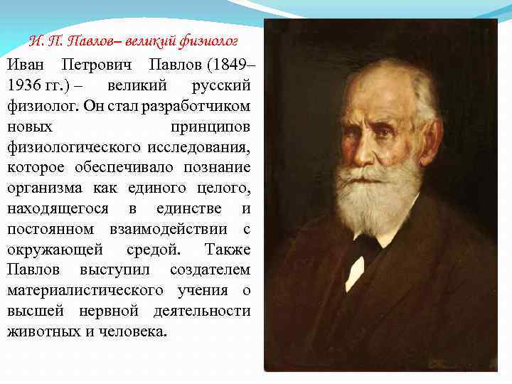 И. П. Павлов– великий физиолог Иван Петрович Павлов (1849– 1936 гг. ) – великий