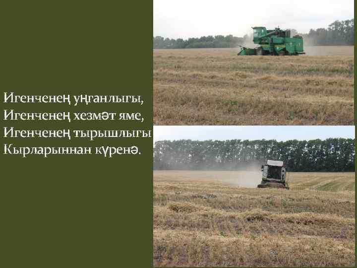 Игенченең уңганлыгы, Игенченең хезмәт яме, Игенченең тырышлыгы Кырларыннан күренә. 