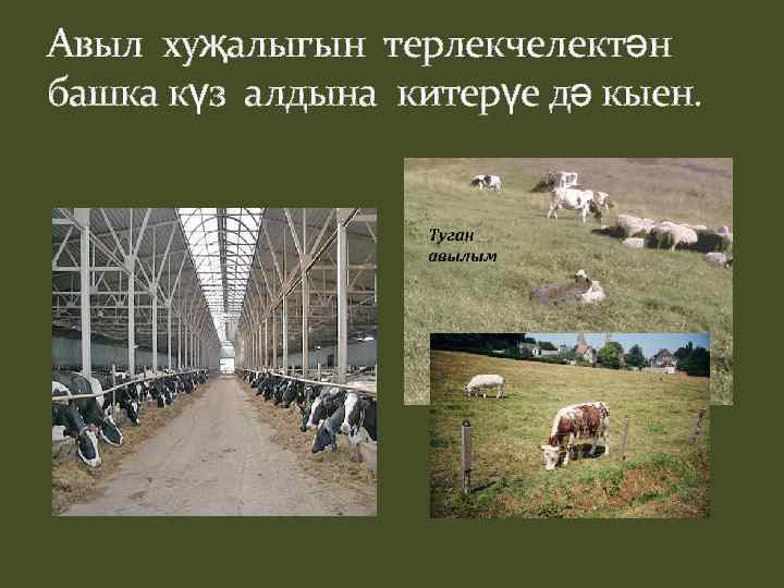 Авыл хуҗалыгын терлекчелектән башка күз алдына китерүе дә кыен. 