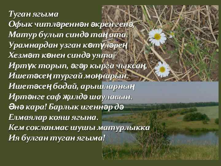 Туган ягыма Офык читләреннән әкрен генә, Матур булып синдә таң ата. Урамнардан узган көтүләрең