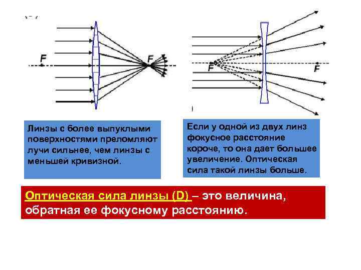 У линзы с большей или меньшей кривизной фокусное расстояние больше поясните рисунком