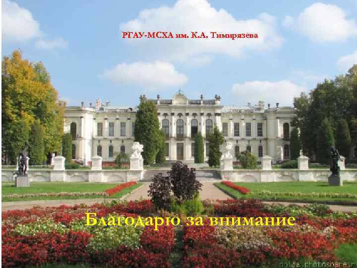 Российский государственный аграрный университет – РГАУ-МСХА им. К. А. Тимирязева Благодарю за внимание 