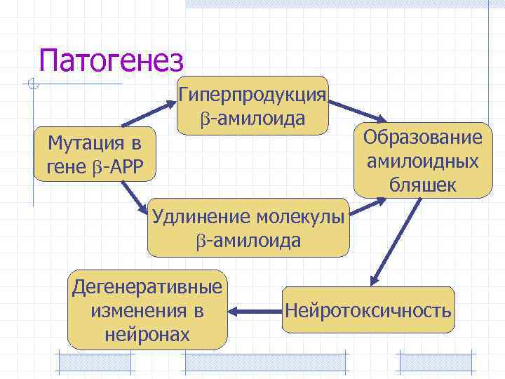 Патогенез Гиперпродукция -амилоида Мутация в гене -АРР Образование амилоидных бляшек Удлинение молекулы -амилоида Дегенеративные