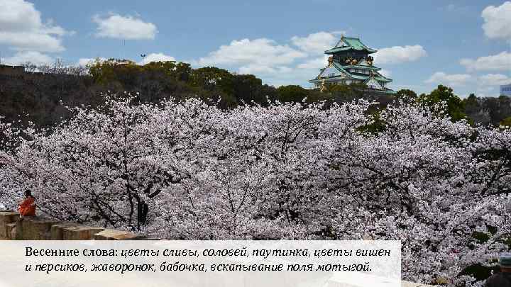 Весенние слова: цветы сливы, соловей, паутинка, цветы вишен и персиков, жаворонок, бабочка, вскапывание поля