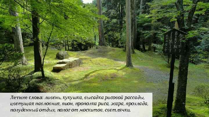 Летние слова: ливень, кукушка, высадка рисовой рассады, цветущая павловния, пион, прополка риса, жара, прохлада,