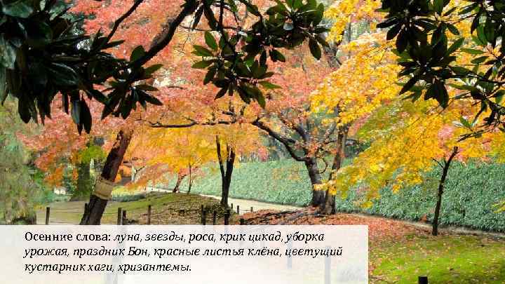 Осенние слова: луна, звезды, роса, крик цикад, уборка урожая, праздник Бон, красные листья клёна,