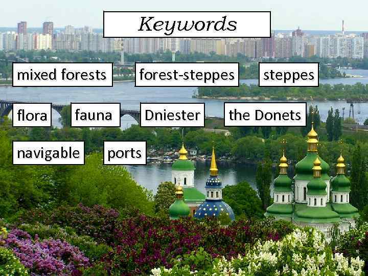 Keywords mixed forests flora forest steppes fauna navigable ports Dniester steppes the Donets 