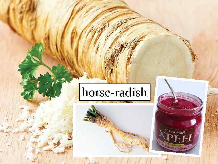 horse-radish 