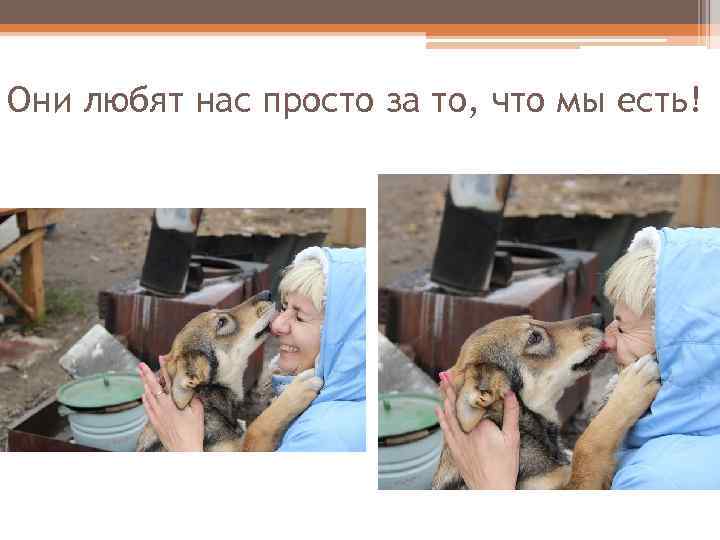 Они любят нас просто за то, что мы есть! 
