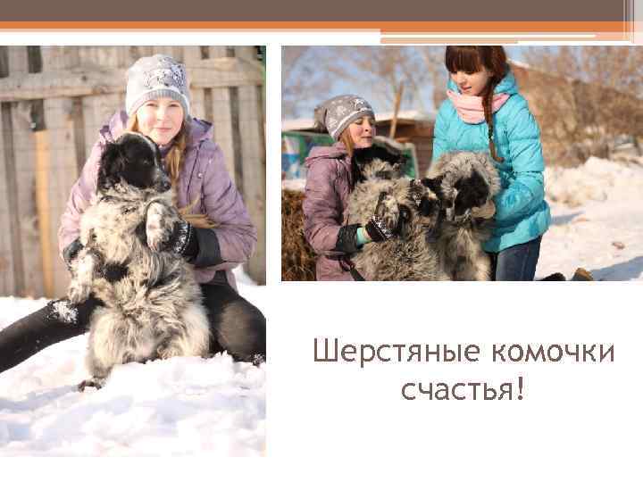 Шерстяные комочки счастья! 