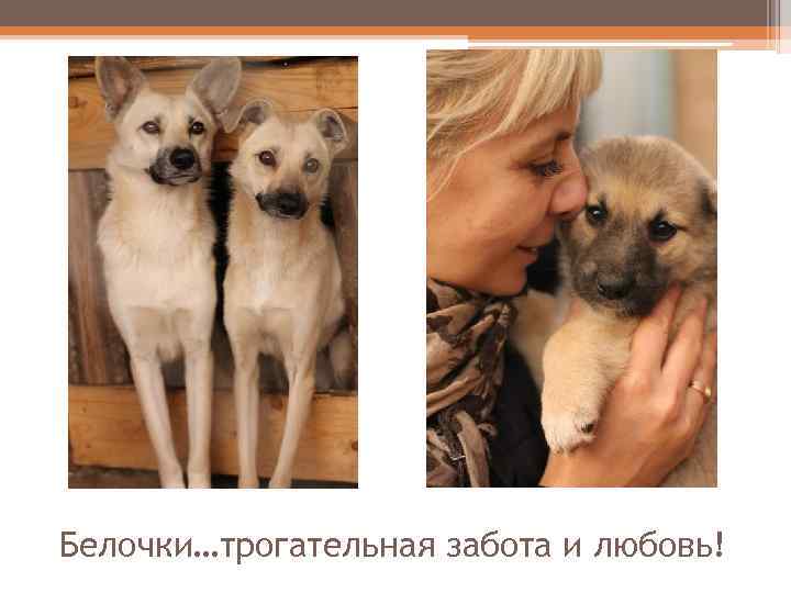 Белочки…трогательная забота и любовь! 