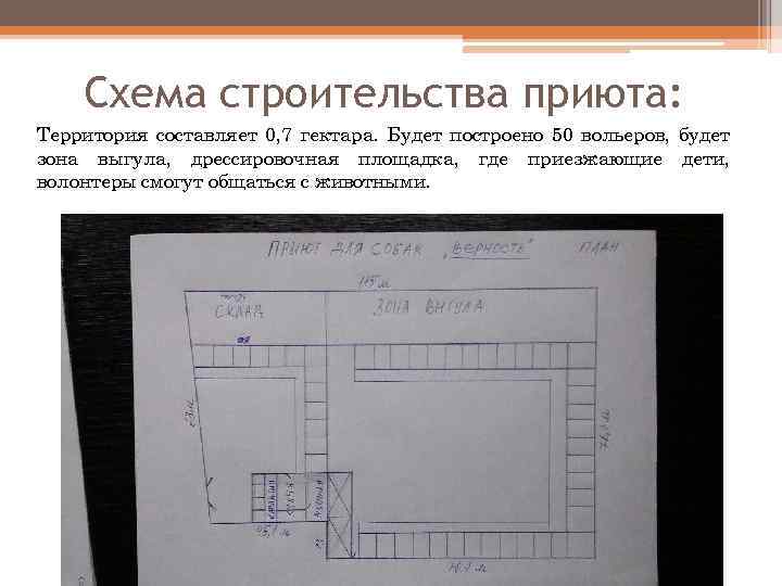 Схема строительства приюта: Территория составляет 0, 7 гектара. Будет построено 50 вольеров, будет зона