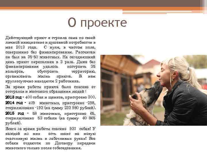 О проекте Действующий приют я строила сама по своей личной инициативе и душевной потребности