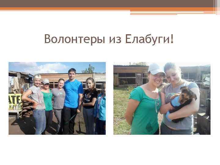 Волонтеры из Елабуги! 