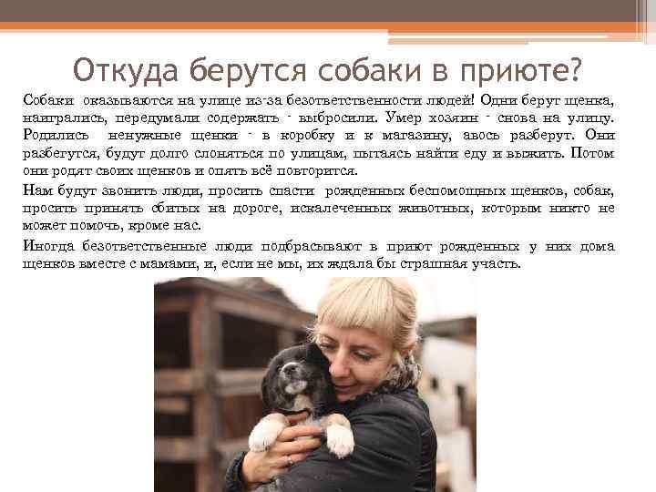 Откуда берутся собаки в приюте? Собаки оказываются на улице из-за безответственности людей! Одни берут