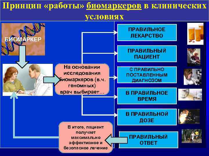 Принцип «работы» биомаркеров в клинических условиях БИОМАРКЕР ТЕРАПЕВТИЧЕСКИЕ ПОТРЕБНОСТИ На основании исследования биомаркеров (в.