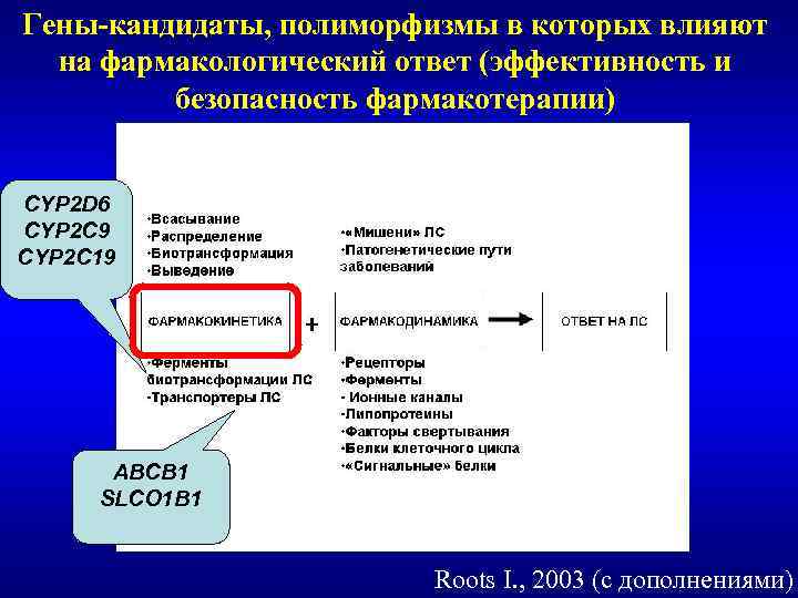 Гены-кандидаты, полиморфизмы в которых влияют на фармакологический ответ (эффективность и безопасность фармакотерапии) CYP 2