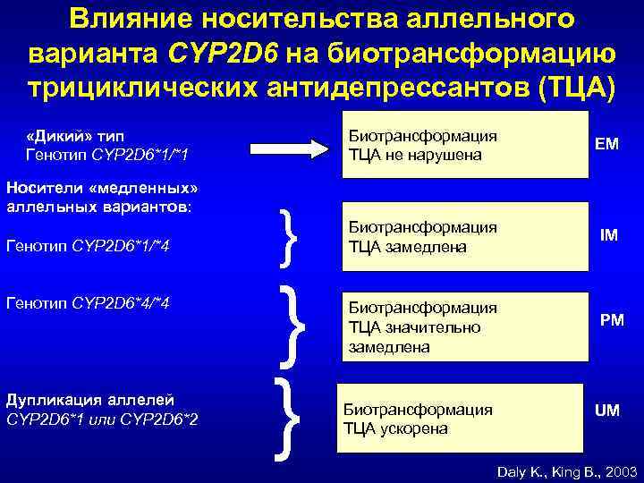 Влияние носительства аллельного варианта CYP 2 D 6 на биотрансформацию трициклических антидепрессантов (ТЦА) Биотрансформация