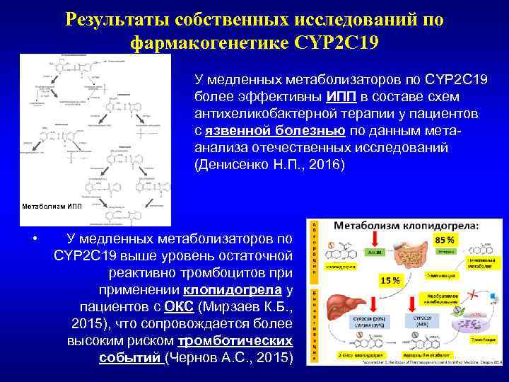 Результаты собственных исследований по фармакогенетике CYP 2 С 19 • У медленных метаболизаторов по
