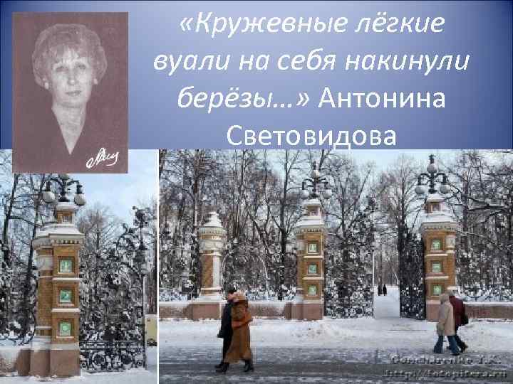  «Кружевные лёгкие вуали на себя накинули берёзы…» Антонина Световидова 