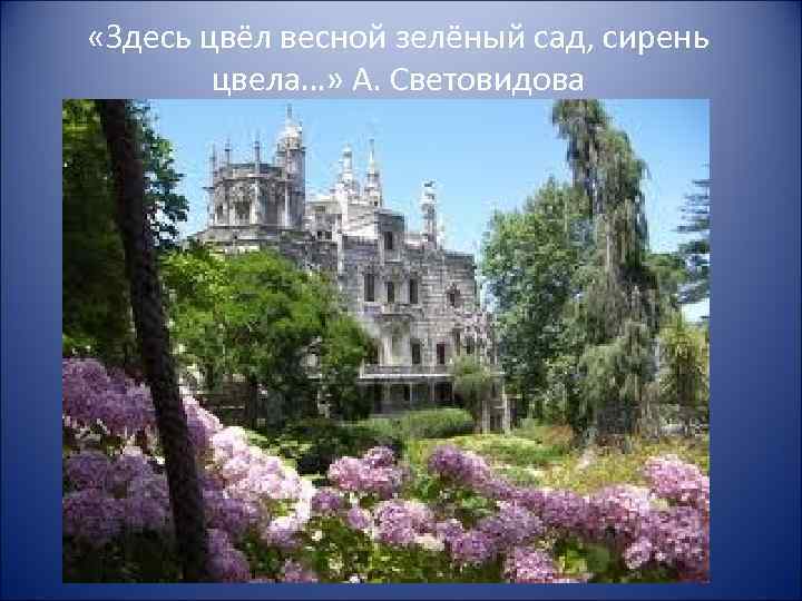 «Здесь цвёл весной зелёный сад, сирень цвела…» А. Световидова 