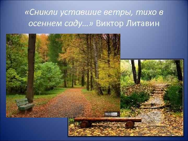  «Сникли уставшие ветры, тихо в осеннем саду…» Виктор Литавин 