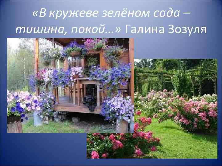  «В кружеве зелёном сада – тишина, покой…» Галина Зозуля 