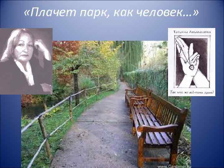  «Плачет парк, как человек…» 
