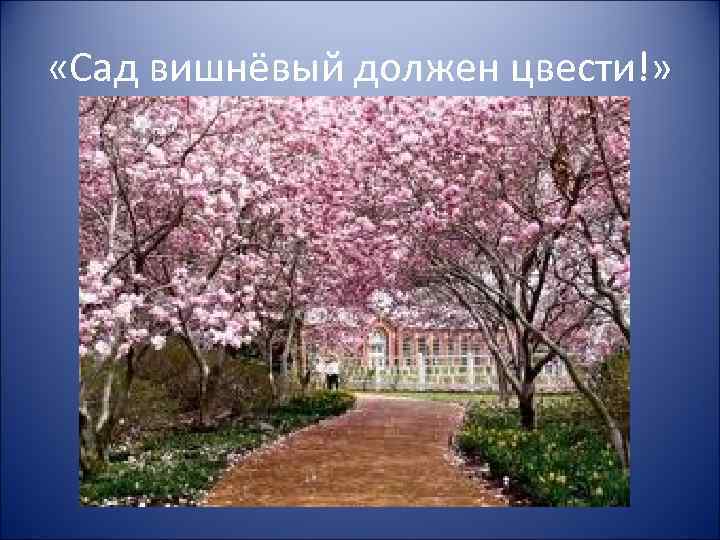  «Сад вишнёвый должен цвести!» 