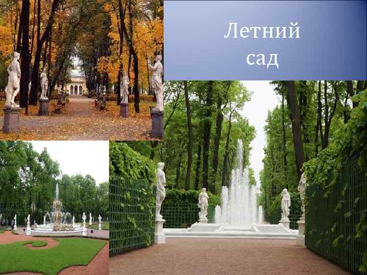 Летний сад 